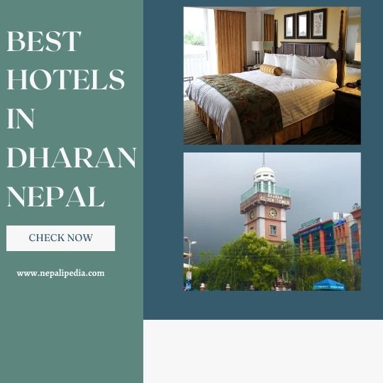 best hotels in dharan nepal