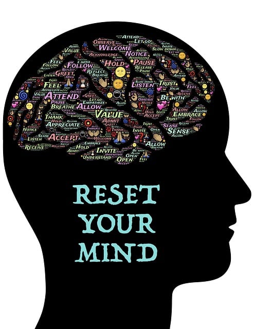 The Art of Mindfulness -Reset Your Brain